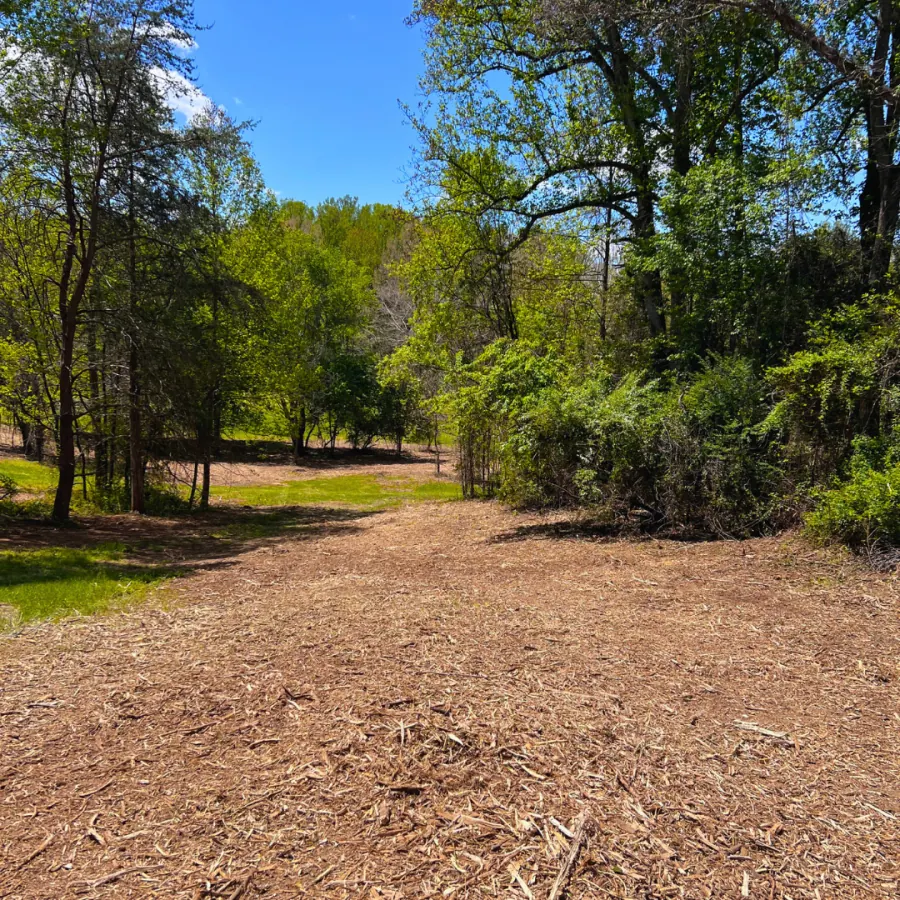 After land clearing — Wooded acreage transformed